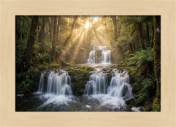 Ricketts Glen Serenity