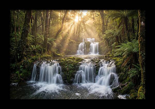 Ricketts Glen Serenity