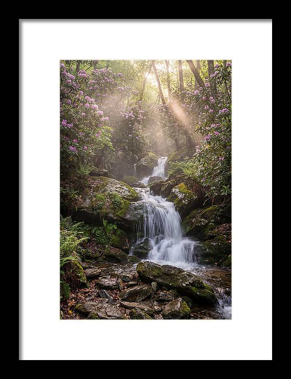 Ricketts Glen Waterfall Cascade