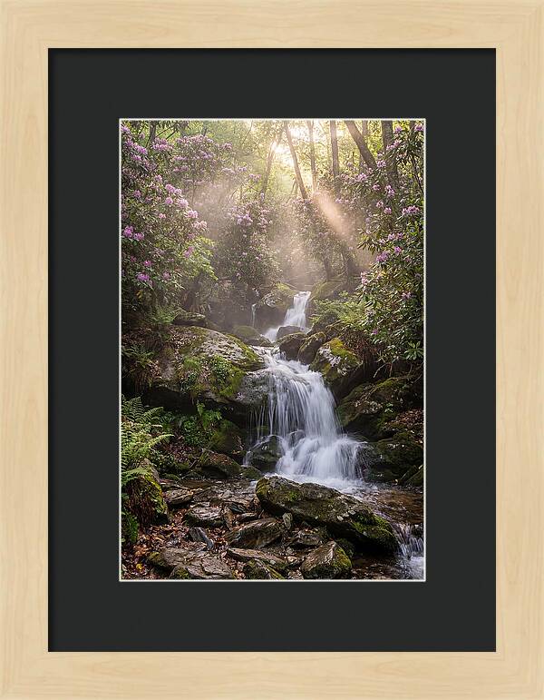 Ricketts Glen Waterfall Cascade