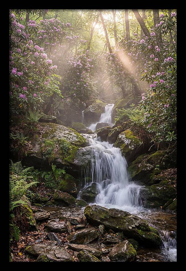 Ricketts Glen Waterfall Cascade