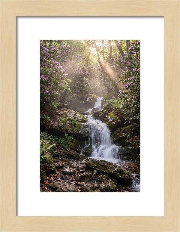 Ricketts Glen Waterfall Cascade