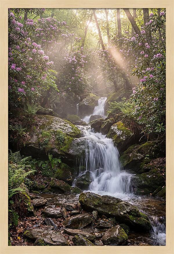 Ricketts Glen Waterfall Cascade
