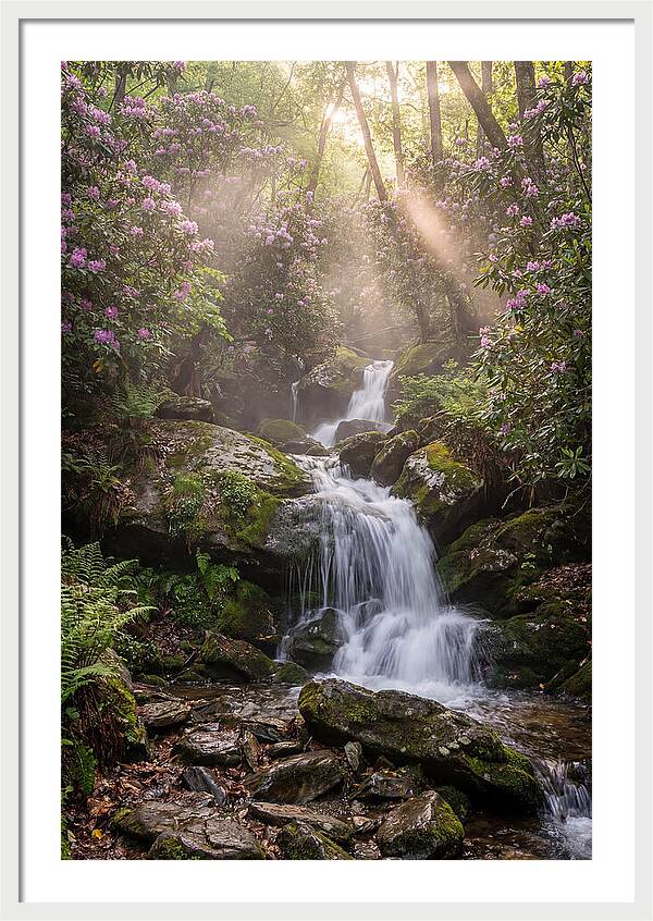 Ricketts Glen Waterfall Cascade