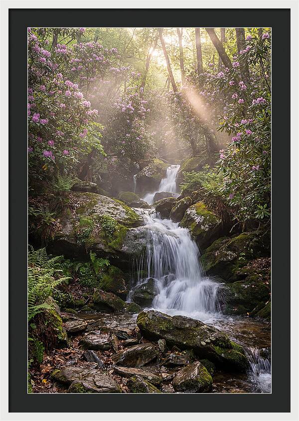 Ricketts Glen Waterfall Cascade