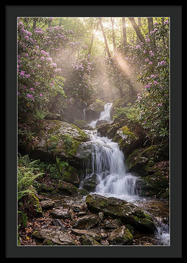 Ricketts Glen Waterfall Cascade