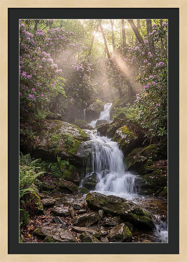 Ricketts Glen Waterfall Cascade
