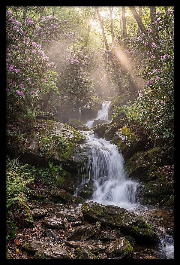 Ricketts Glen Waterfall Cascade