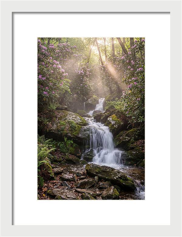 Ricketts Glen Waterfall Cascade