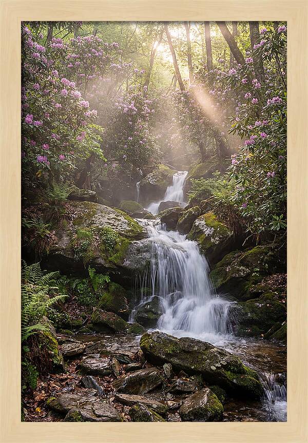 Ricketts Glen Waterfall Cascade