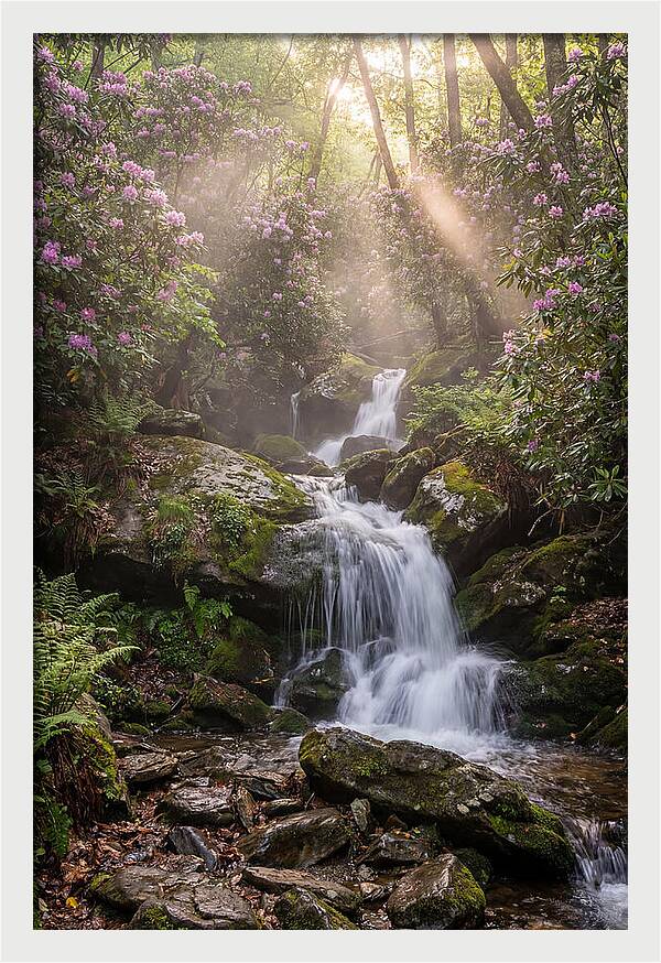 Ricketts Glen Waterfall Cascade