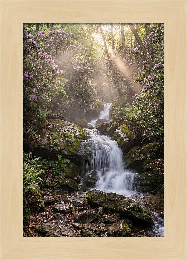 Ricketts Glen Waterfall Cascade