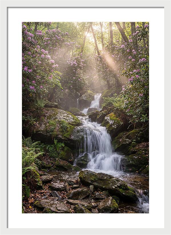Ricketts Glen Waterfall Cascade