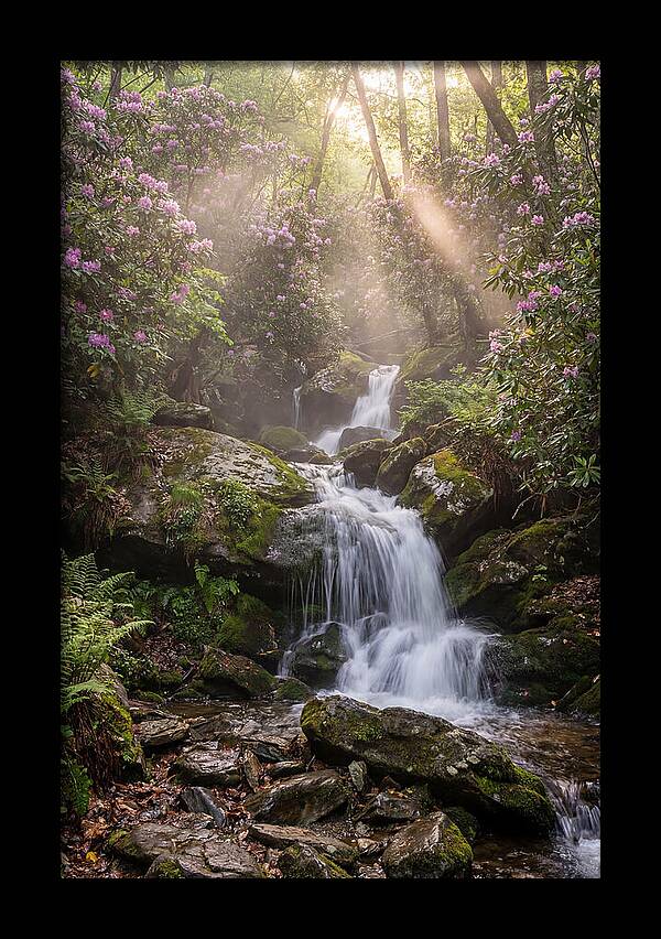 Ricketts Glen Waterfall Cascade