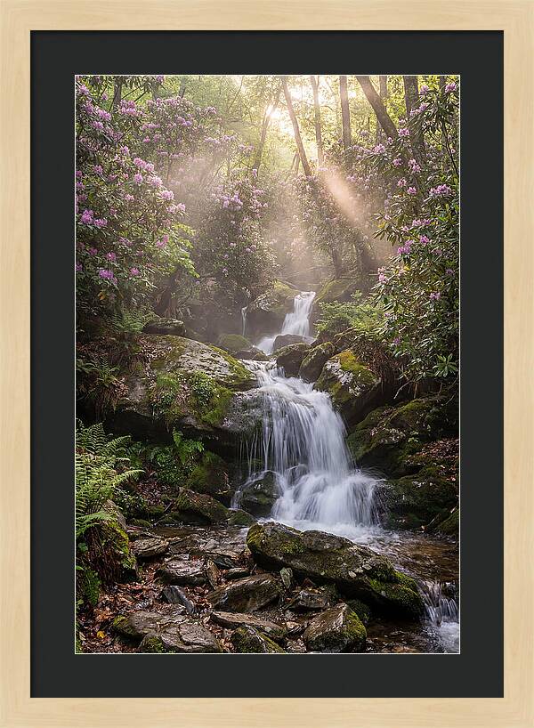 Ricketts Glen Waterfall Cascade