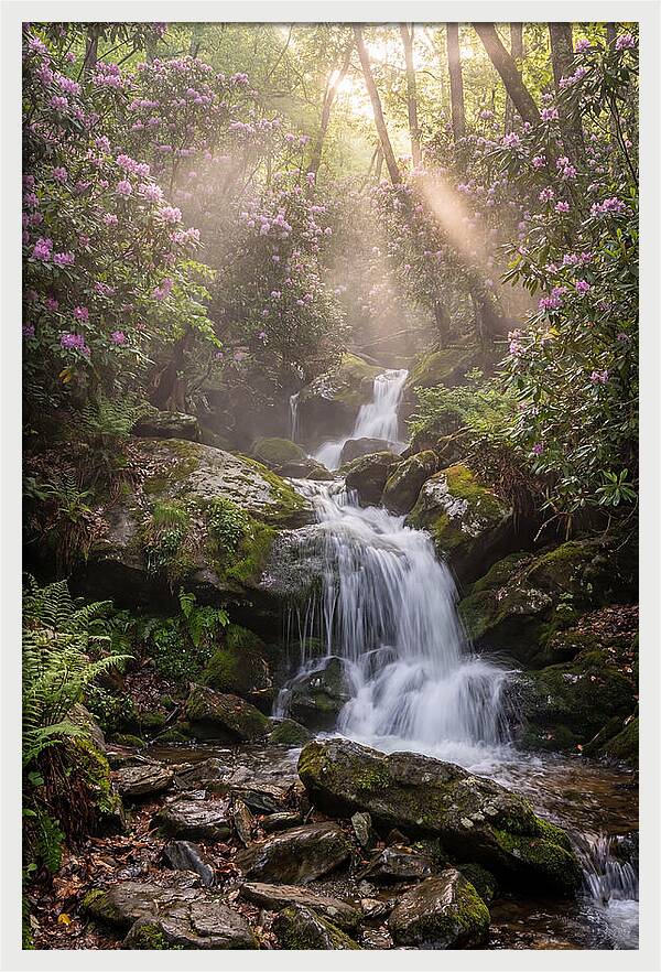 Ricketts Glen Waterfall Cascade