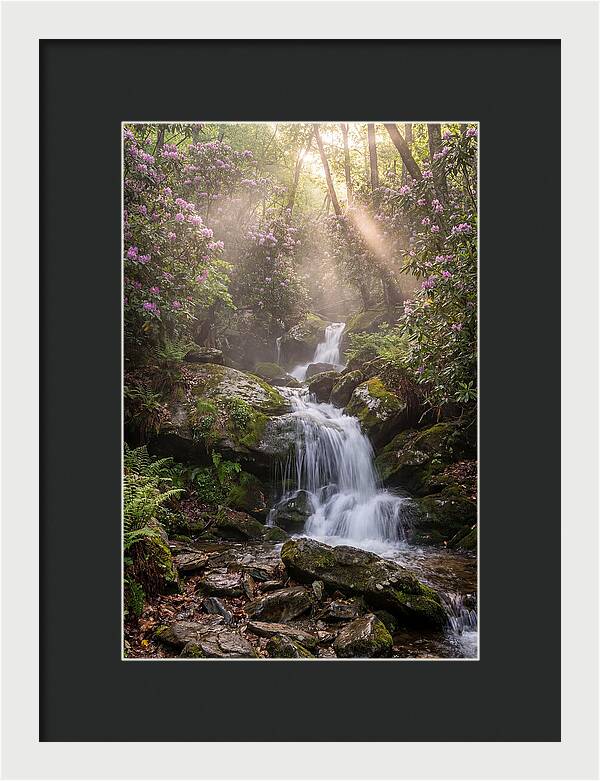 Ricketts Glen Waterfall Cascade