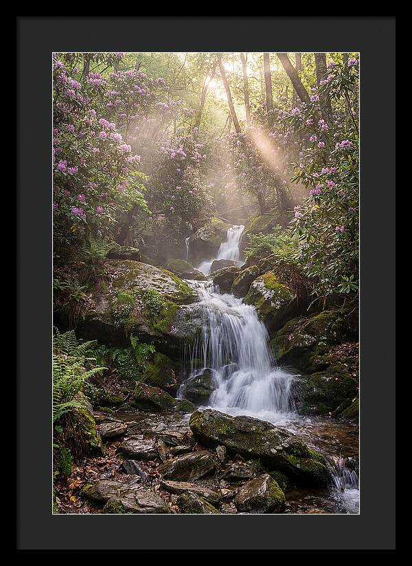 Ricketts Glen Waterfall Cascade
