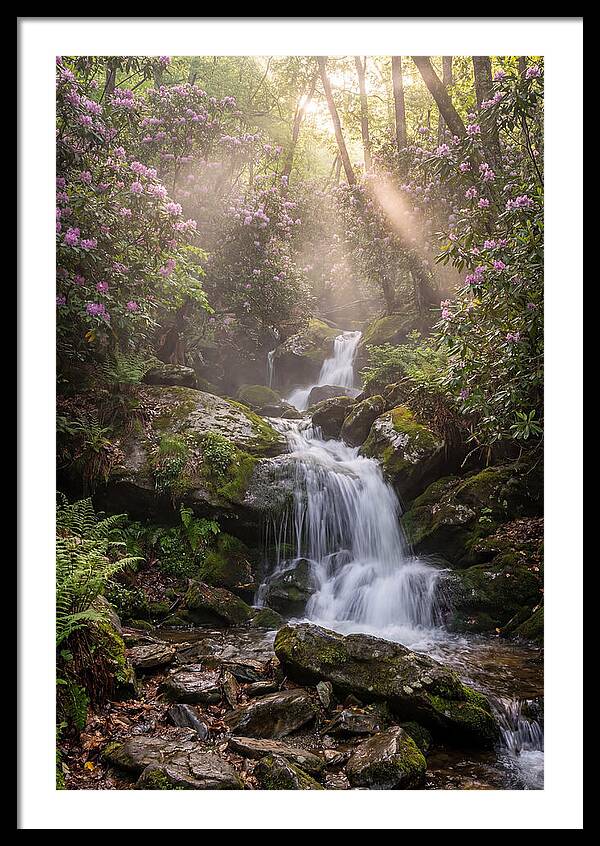 Ricketts Glen Waterfall Cascade