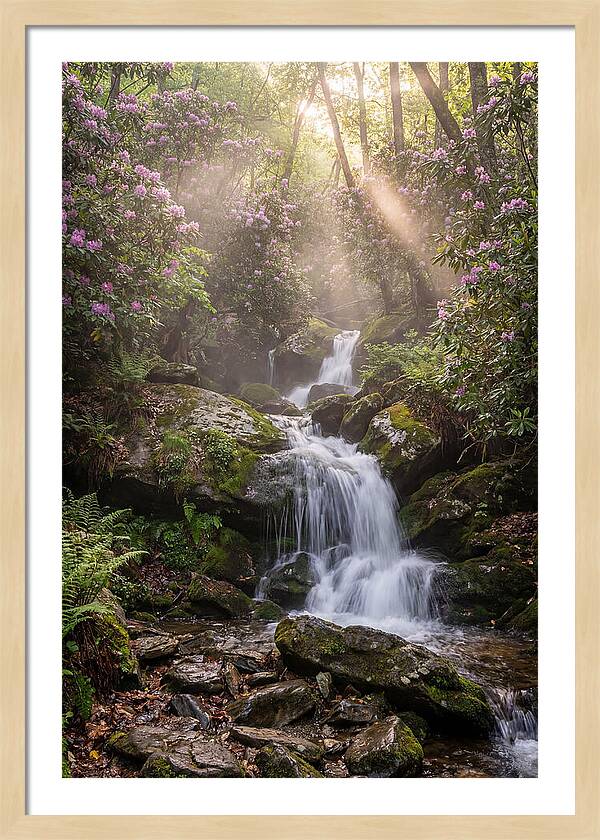 Ricketts Glen Waterfall Cascade