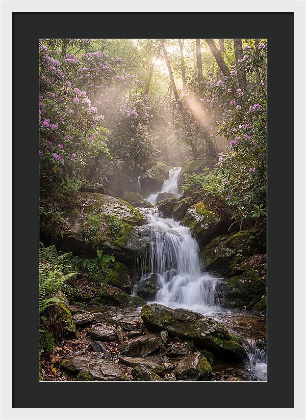 Ricketts Glen Waterfall Cascade
