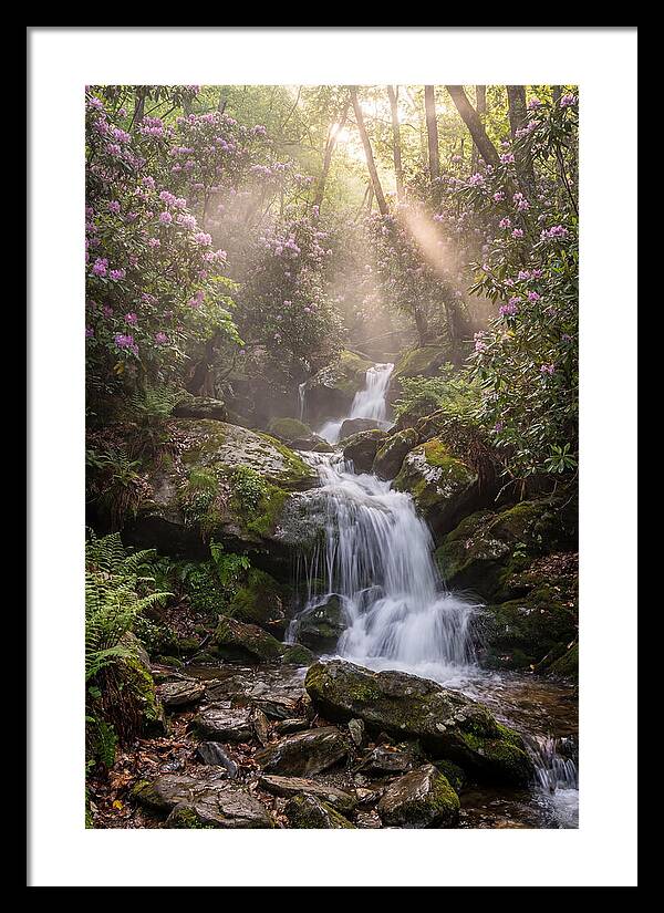 Ricketts Glen Waterfall Cascade