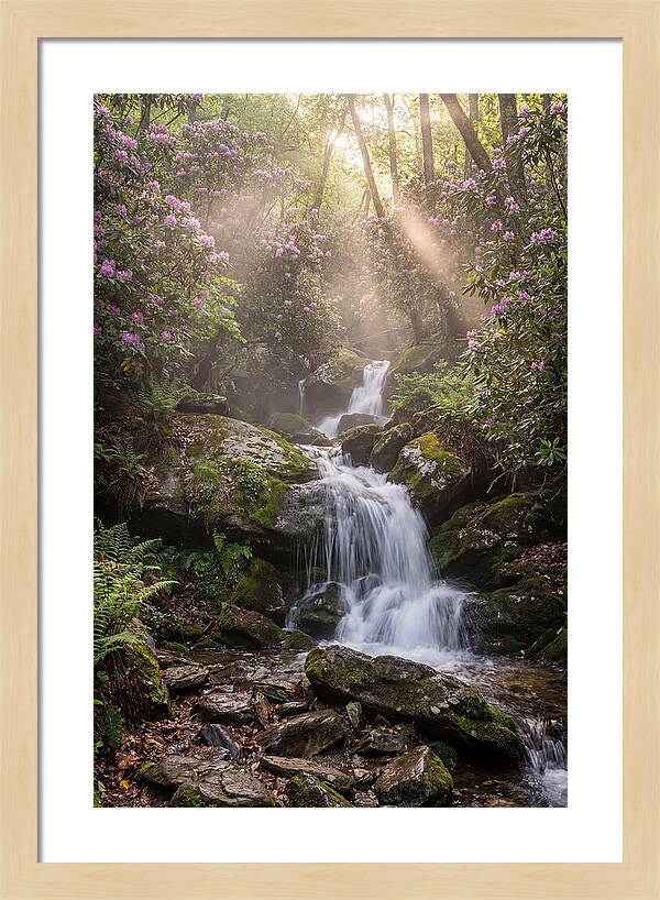 Ricketts Glen Waterfall Cascade