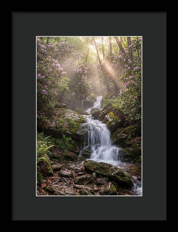 Ricketts Glen Waterfall Cascade