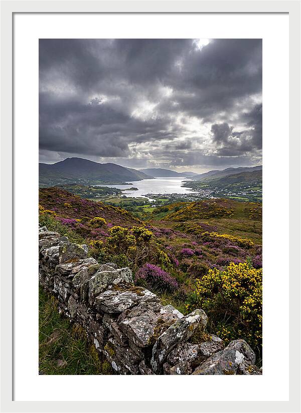 Ring Of Kerry Serenity