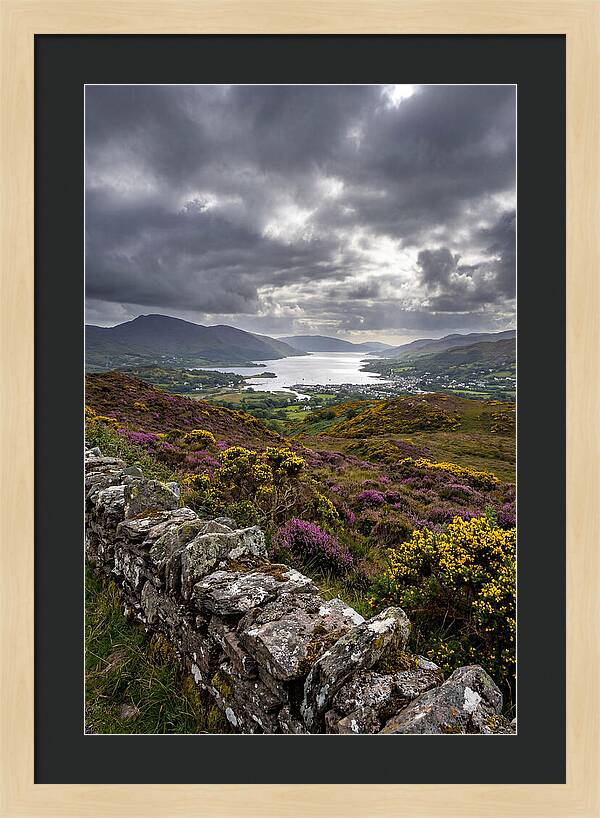 Ring Of Kerry Serenity