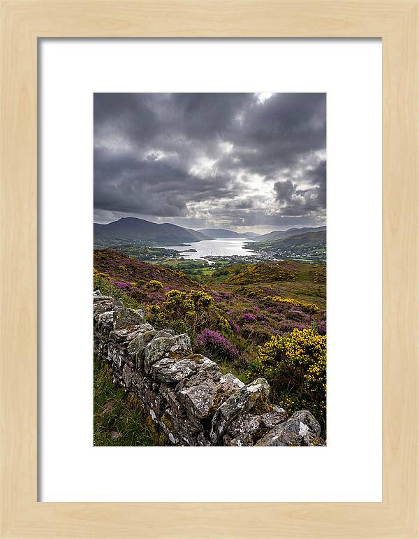 Ring Of Kerry Serenity