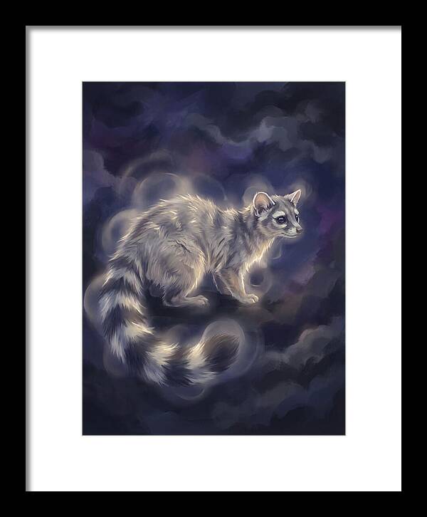 Ringtail Encounter