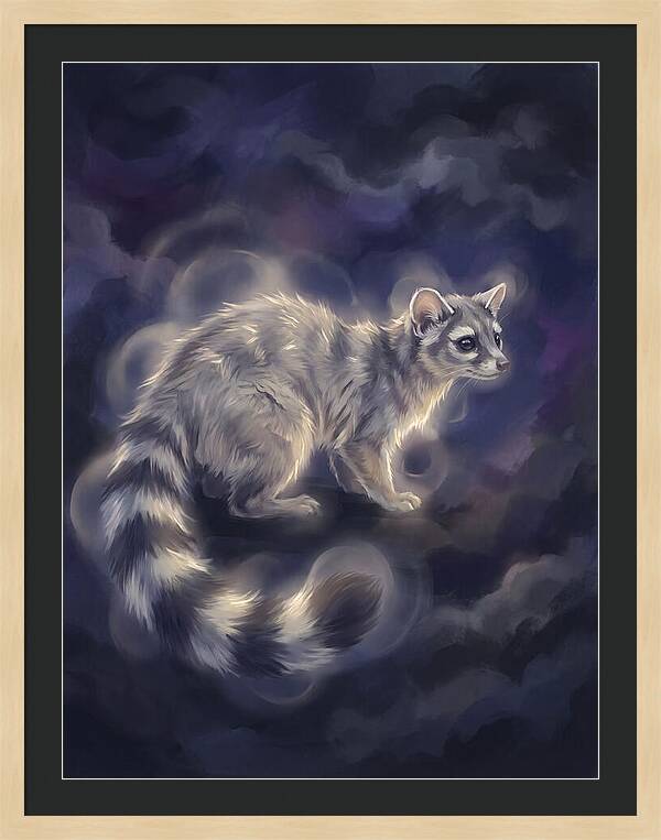 Ringtail Encounter