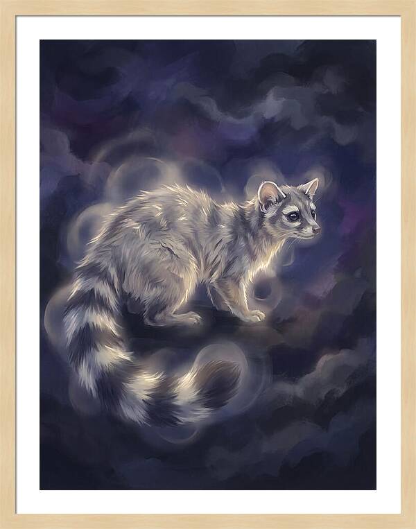 Ringtail Encounter