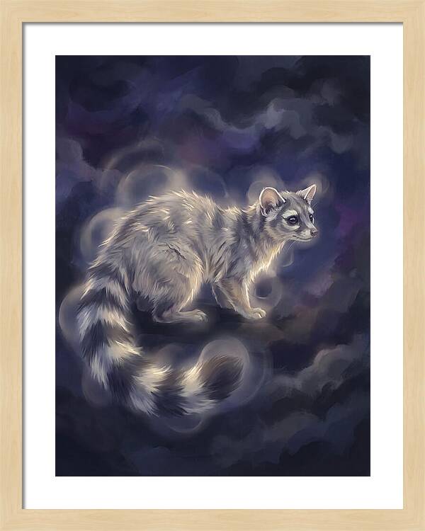 Ringtail Encounter