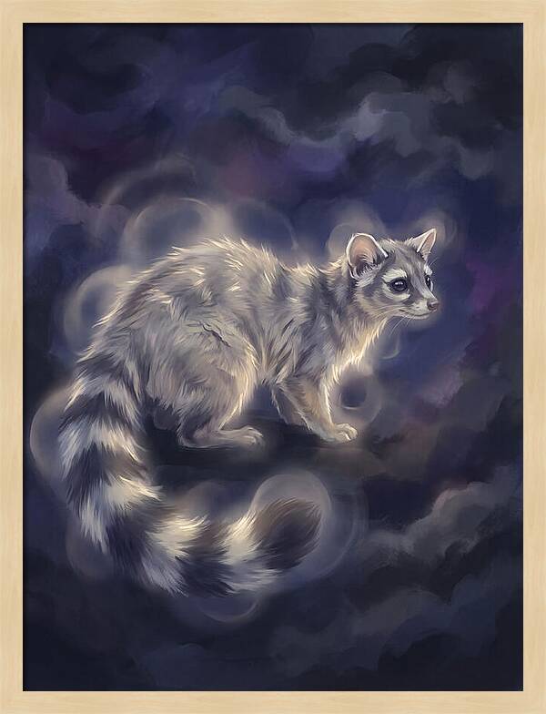 Ringtail Encounter