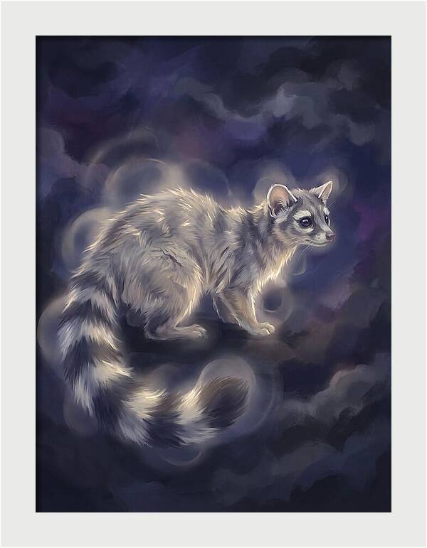 Ringtail Encounter