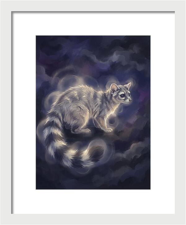 Ringtail Encounter