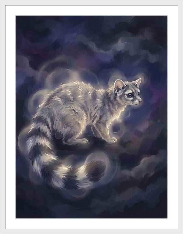 Ringtail Encounter
