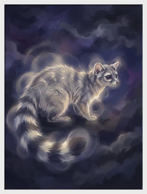 Ringtail Encounter