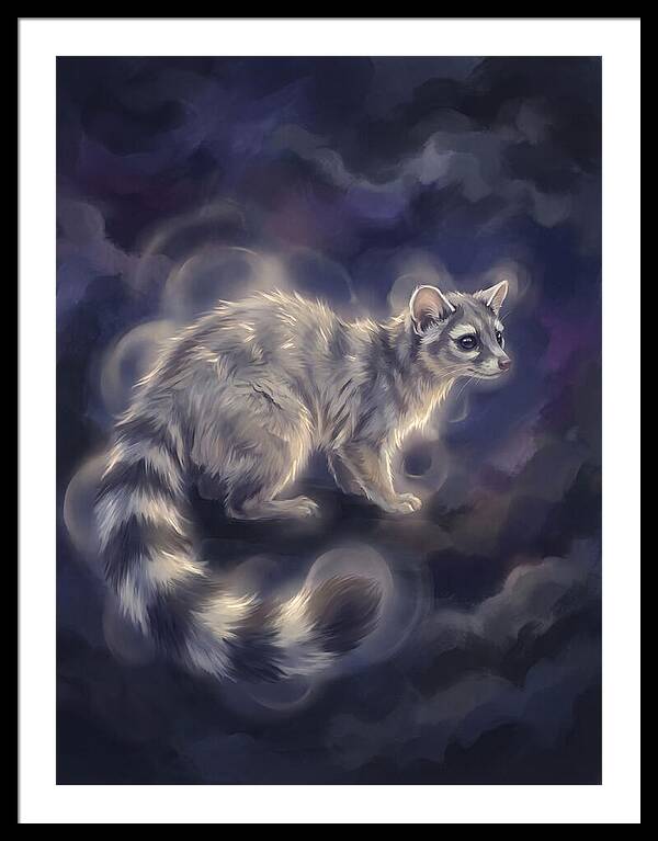 Ringtail Encounter