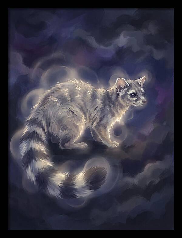 Ringtail Encounter