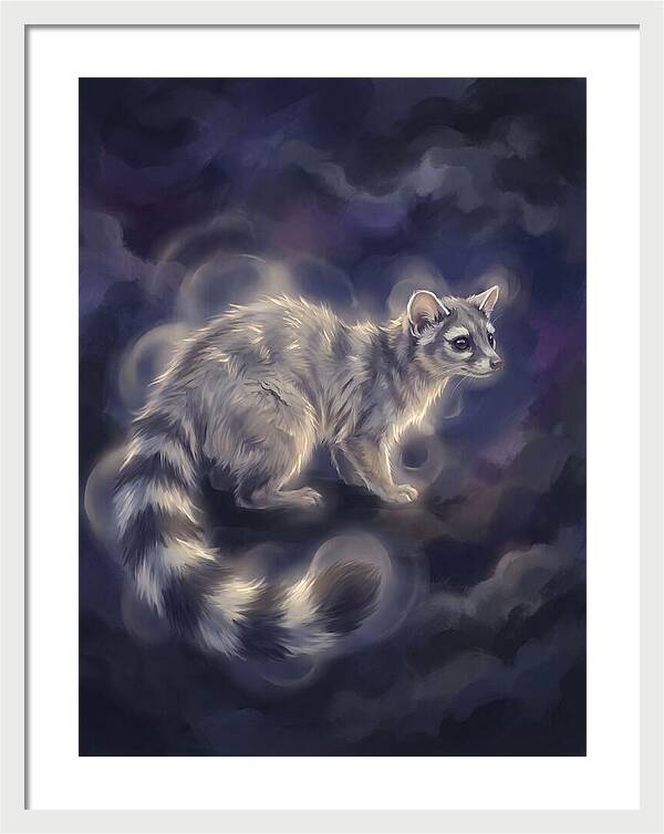 Ringtail Encounter