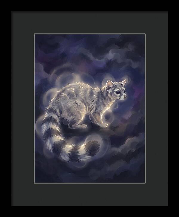 Ringtail Encounter