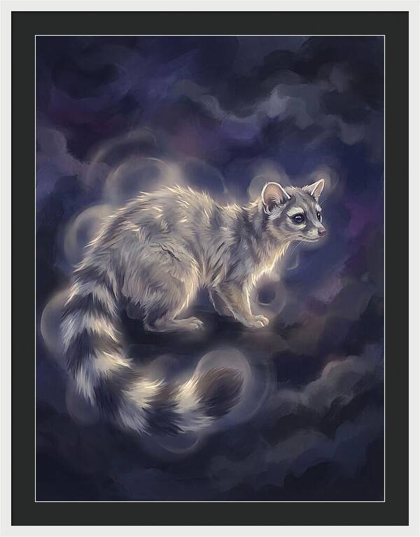 Ringtail Encounter