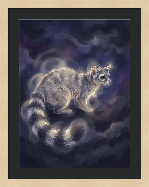 Ringtail Encounter