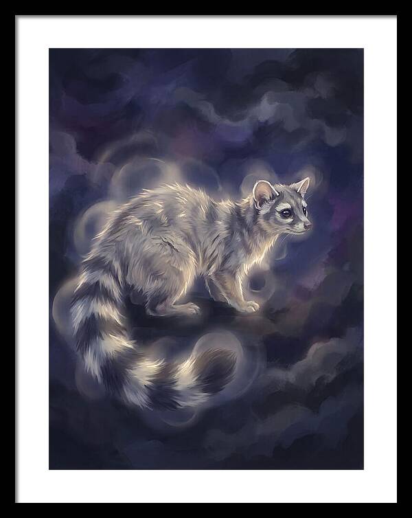 Ringtail Encounter