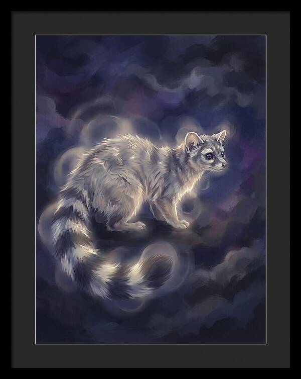 Ringtail Encounter