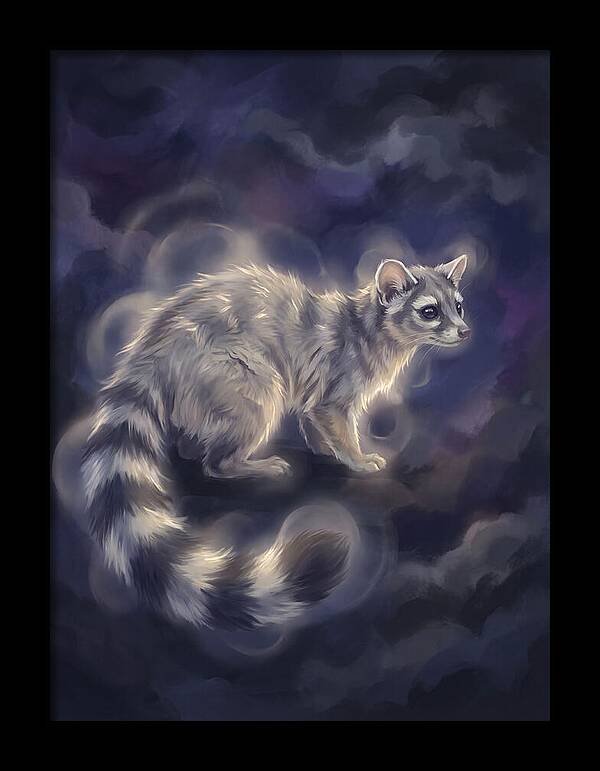 Ringtail Encounter