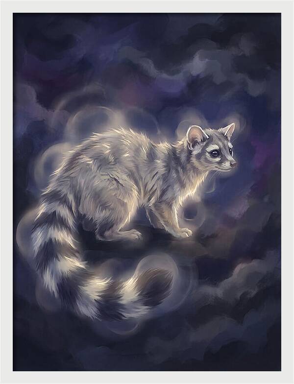 Ringtail Encounter